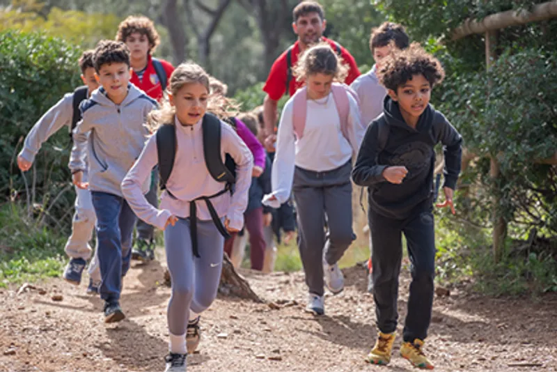Run, Trail & Hiking