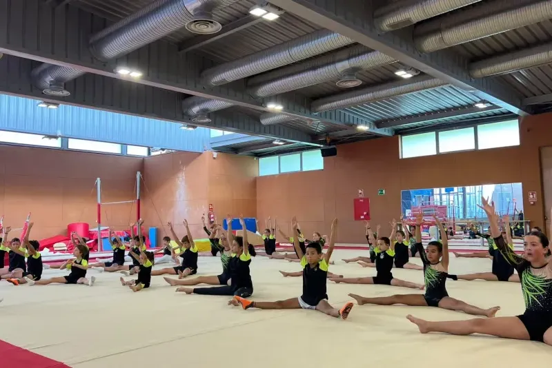 CGA Fénix Las Rozas Artistic Gymnastics