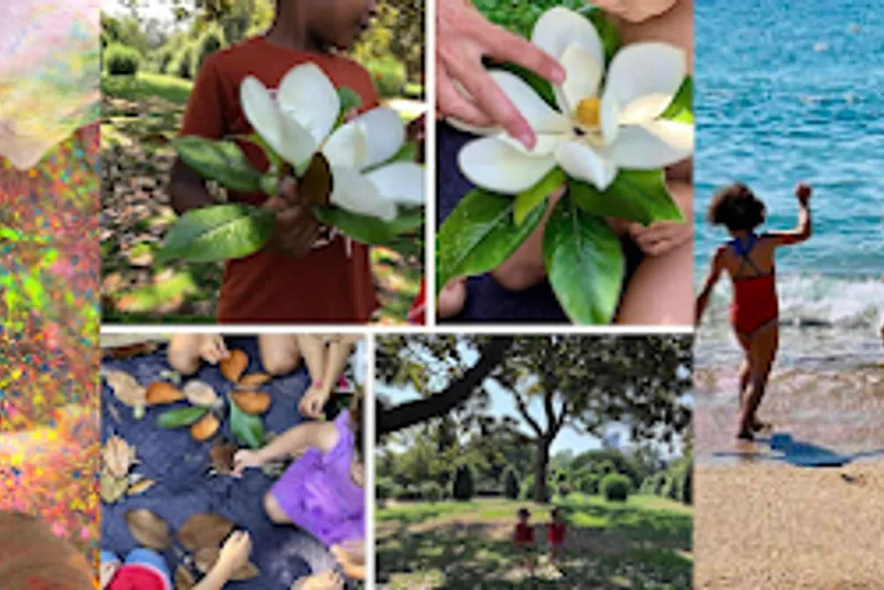 Excursions, Museums & Picnics