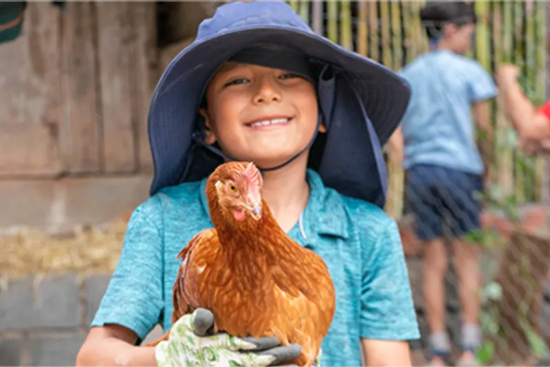 Farm Life (Animal Care Camp)