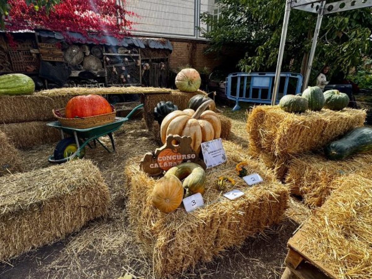 Fiesta de la Calabaza at El Retiro: Pumpkin Contest and Crafts