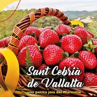 Strawberry Picking & Farm Fun for Families