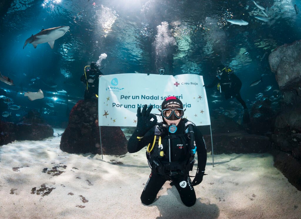 Aquàrium de Barcelona photo 4