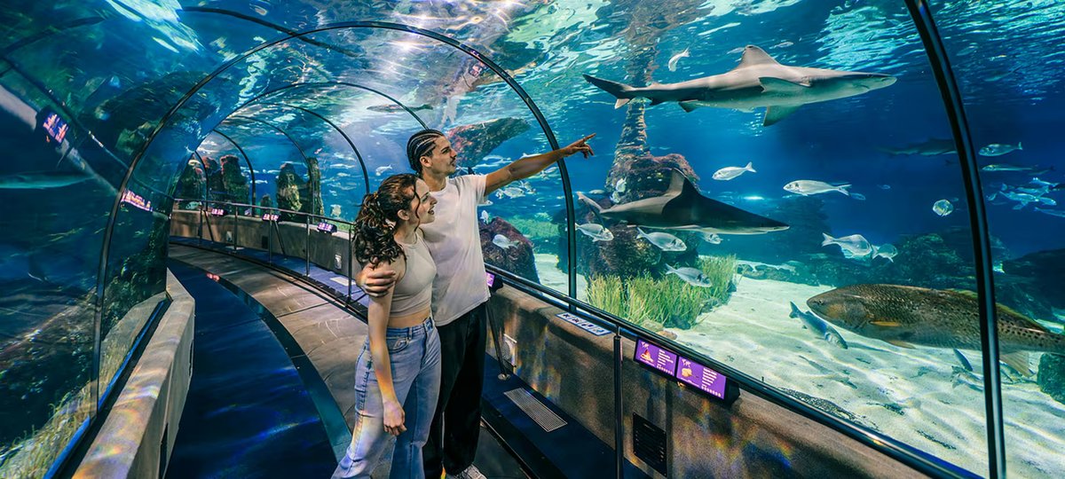 Aquàrium de Barcelona photo 5