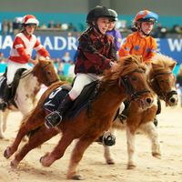 Madrid Horse Week