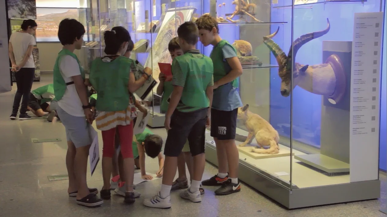 Museo de Verano: Natural Science Museum Camp (MNCN) photo 4
