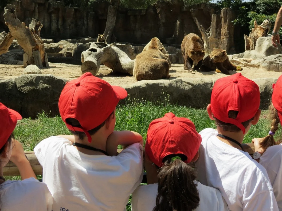 Campamento de Navidad Zoo Aquarium photo 4