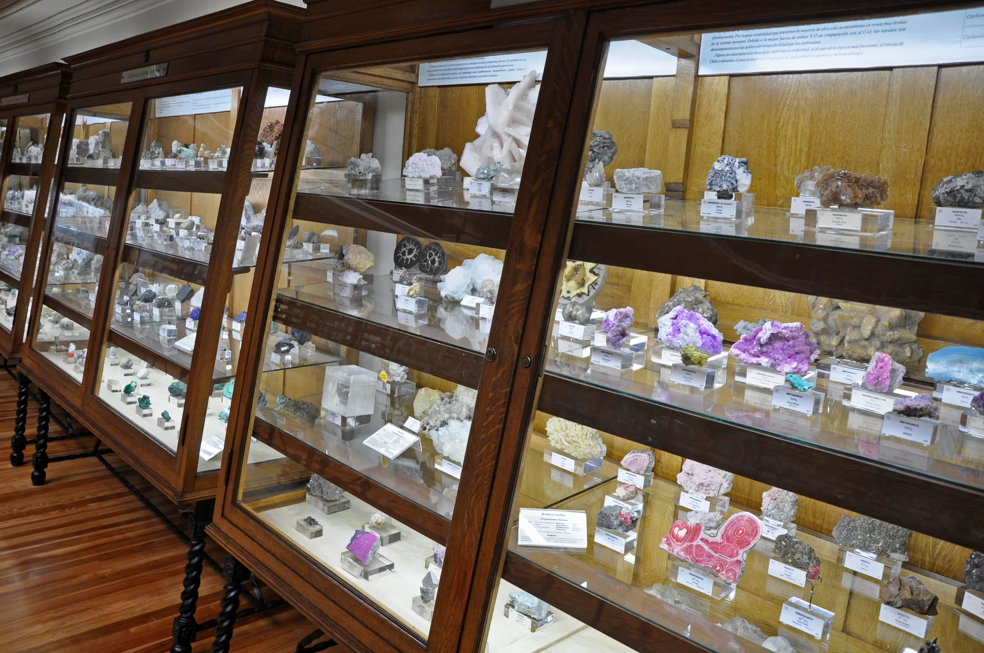 Museo Geominero photo 3