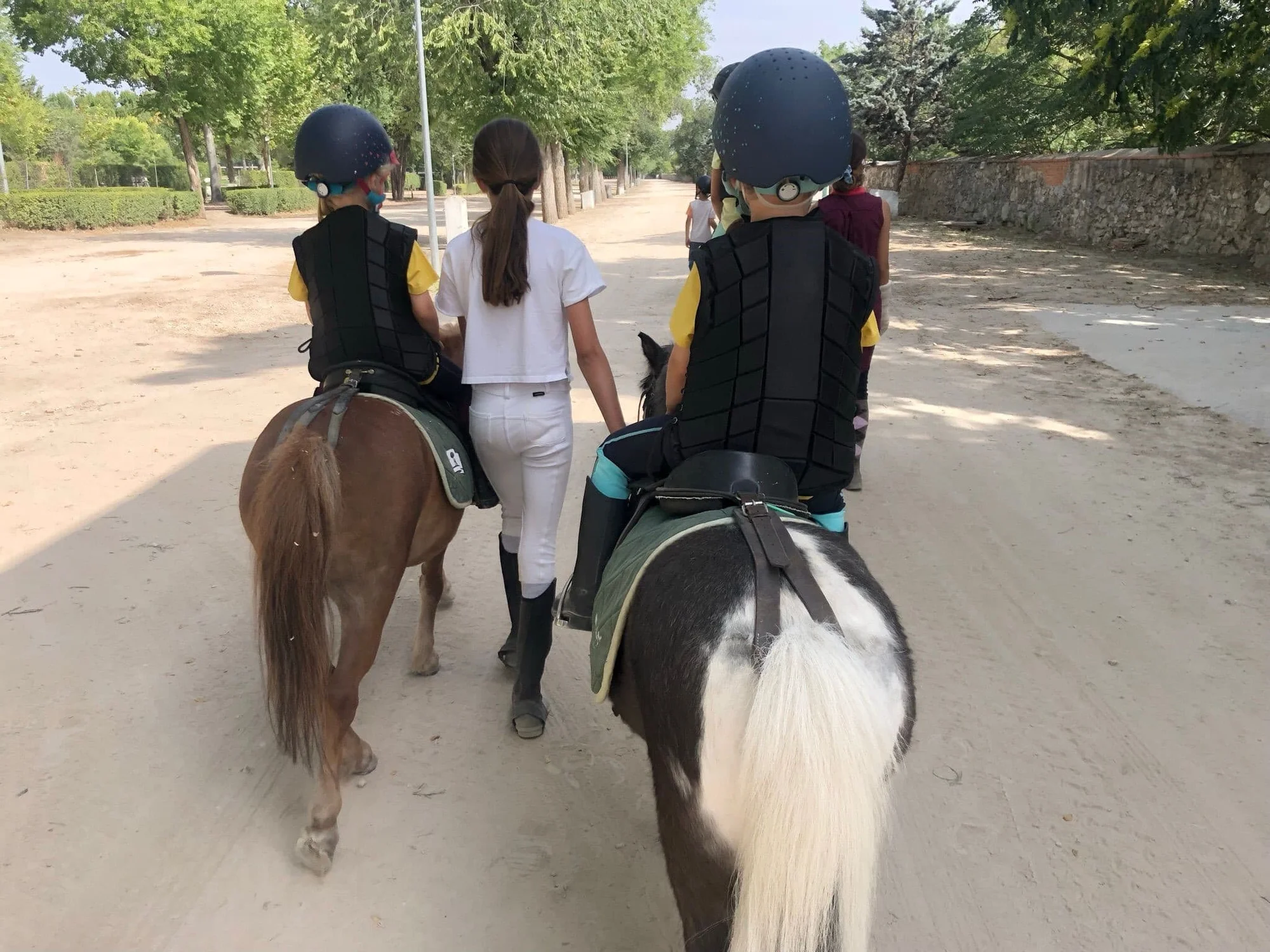 Horse Riding Camp: Club de Campo Villa de Madrid photo 2