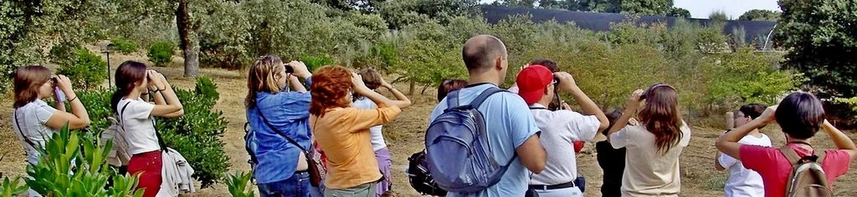 Hábitat Madrid: Free Fall Nature Activities in City Parks photo 4