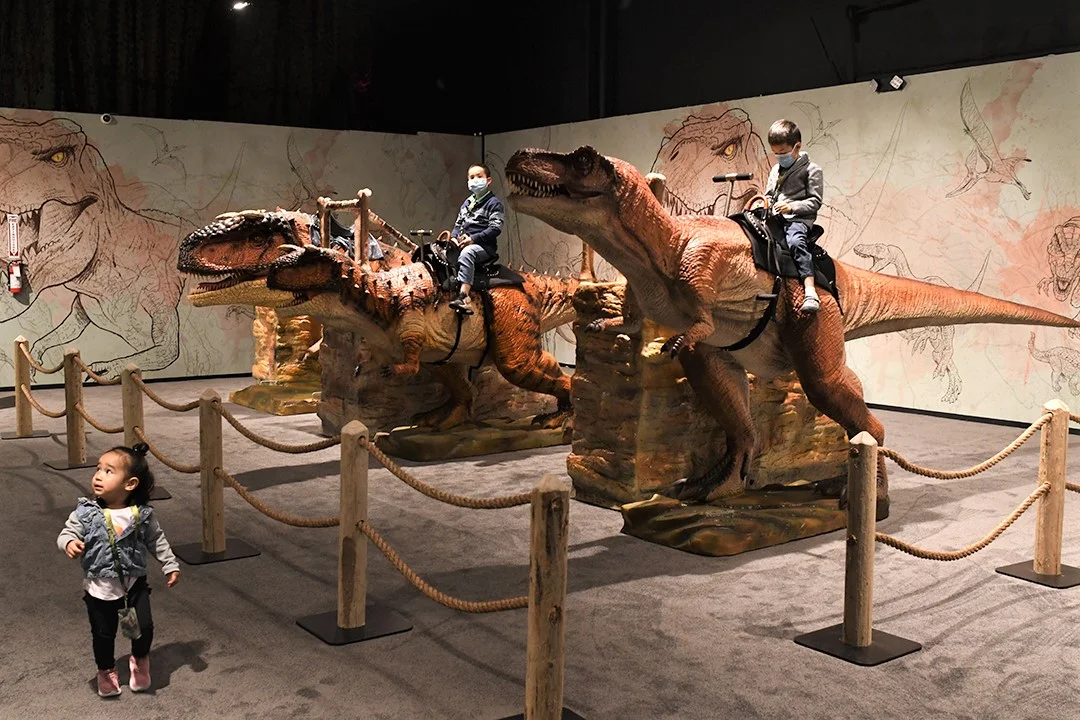 Dinos Alive Barcelona: Life-Size Dinosaur Exhibition photo 5