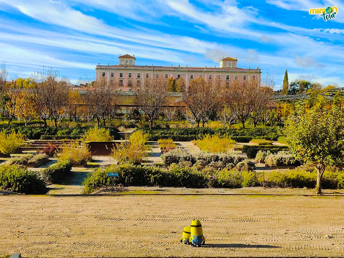 Palacio del Infante Don Luis Gardens photo 4