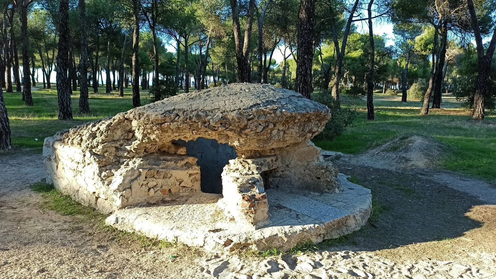Dehesa de Navalcarbón photo 3