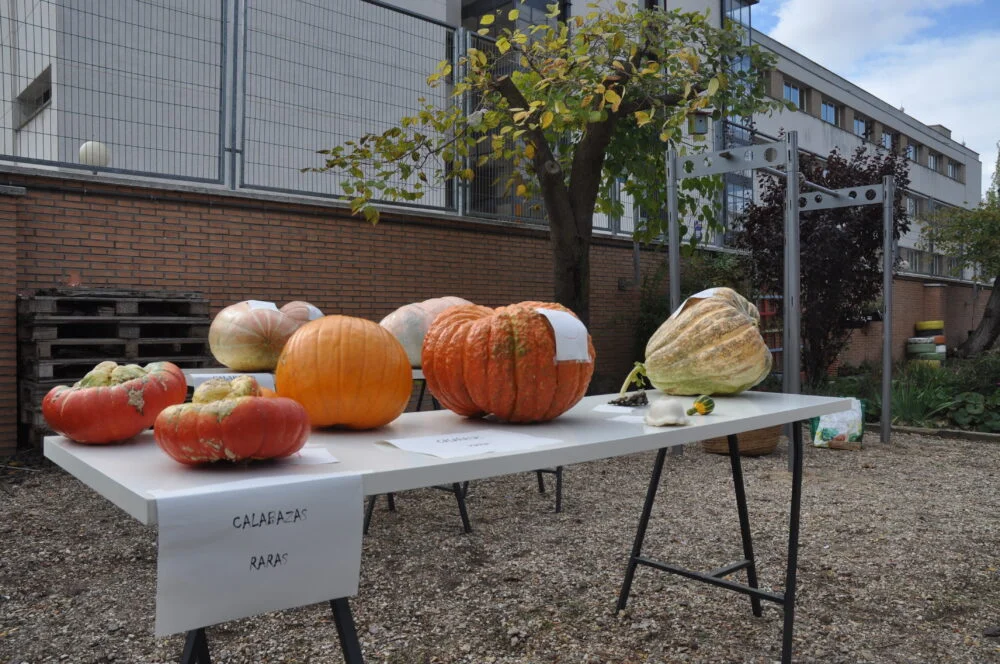 Fiesta de la Calabaza at El Retiro: Pumpkin Contest and Crafts photo 4