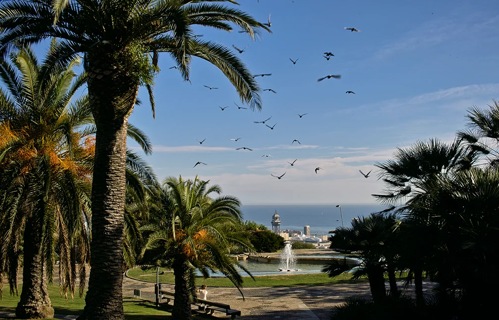 Telefèric de Montjuïc photo 3