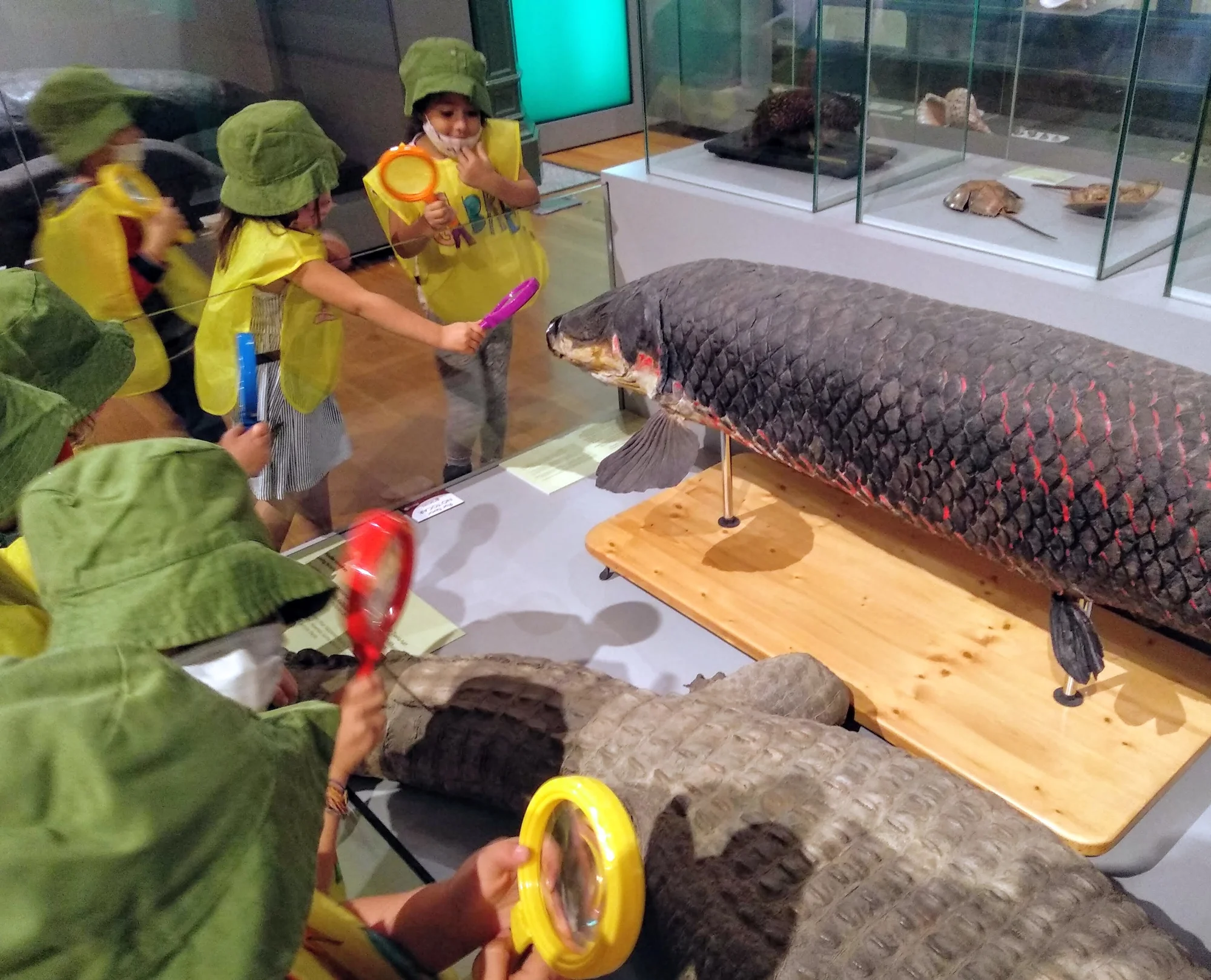 Museo de Verano: Natural Science Museum Camp (MNCN) photo 2