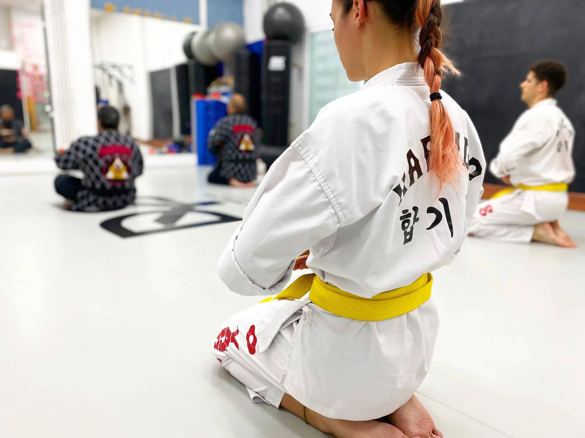 Martial Arts photo 2