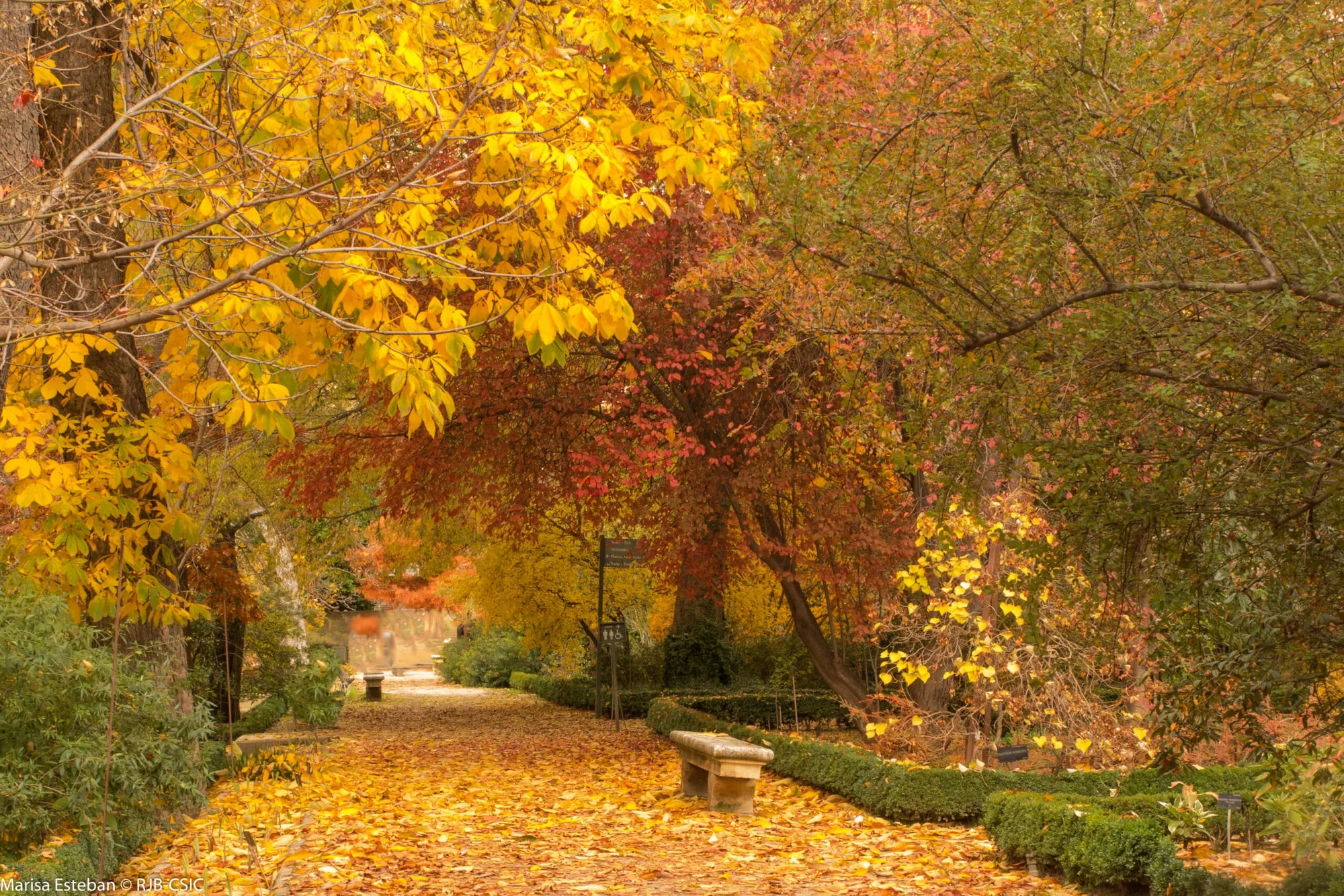 Real Jardín Botánico photo 2