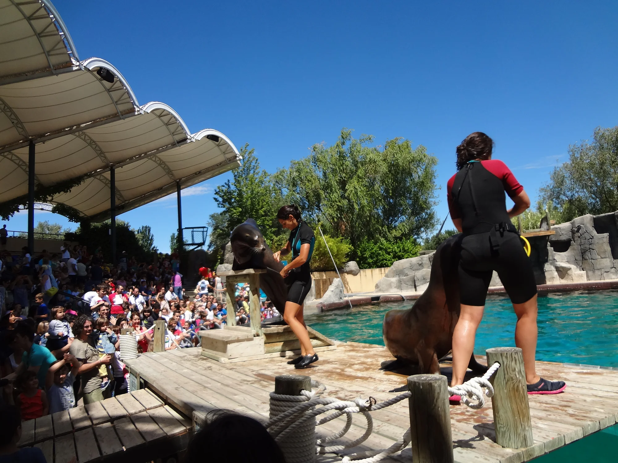 Faunia photo 3