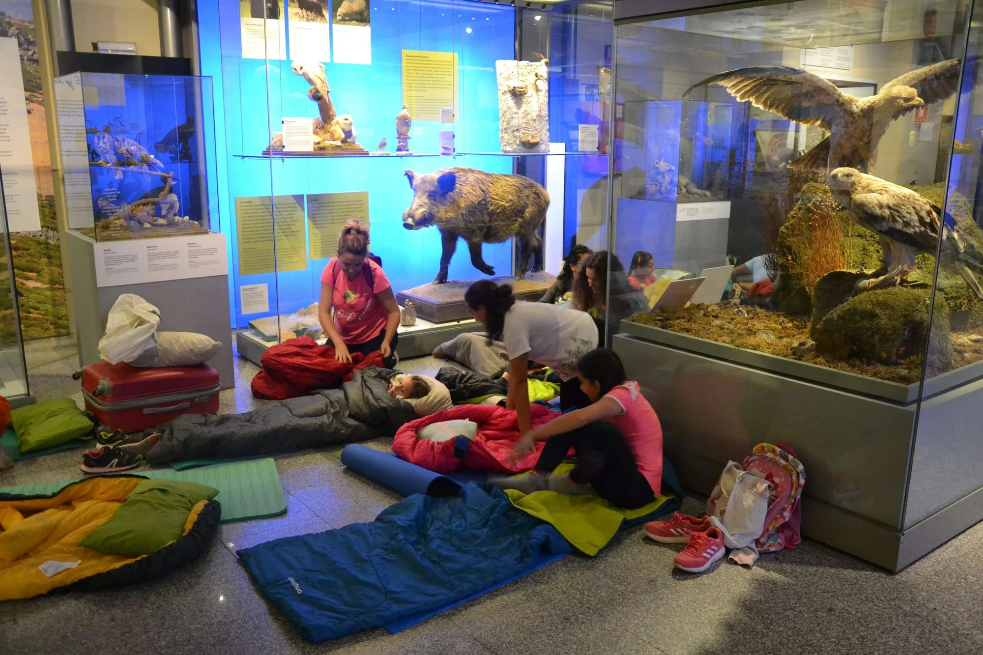 Dinosaur Sleepover at the Museo Nacional de Ciencias Naturales photo 1