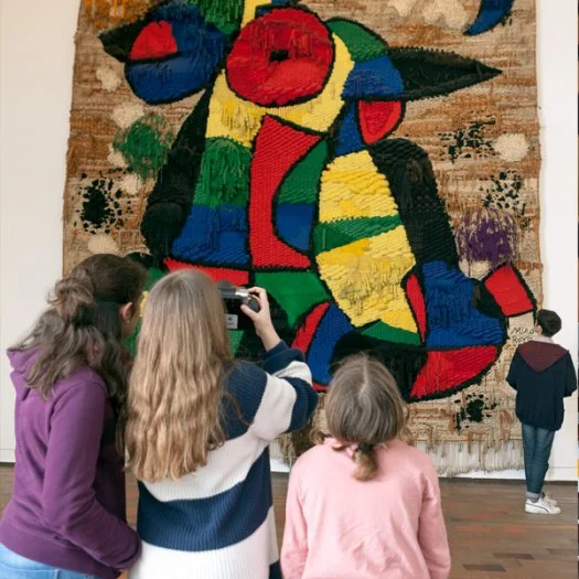 Free Entry to Joan Miró Museum photo 6