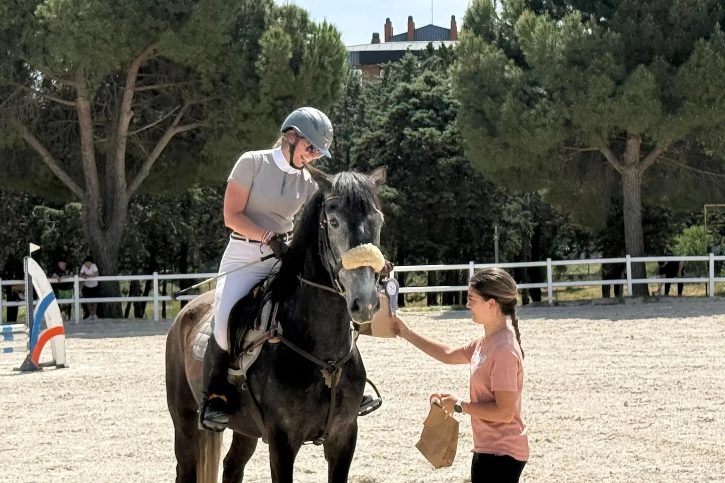 El Madroño Pony Club and Riding School photo 2