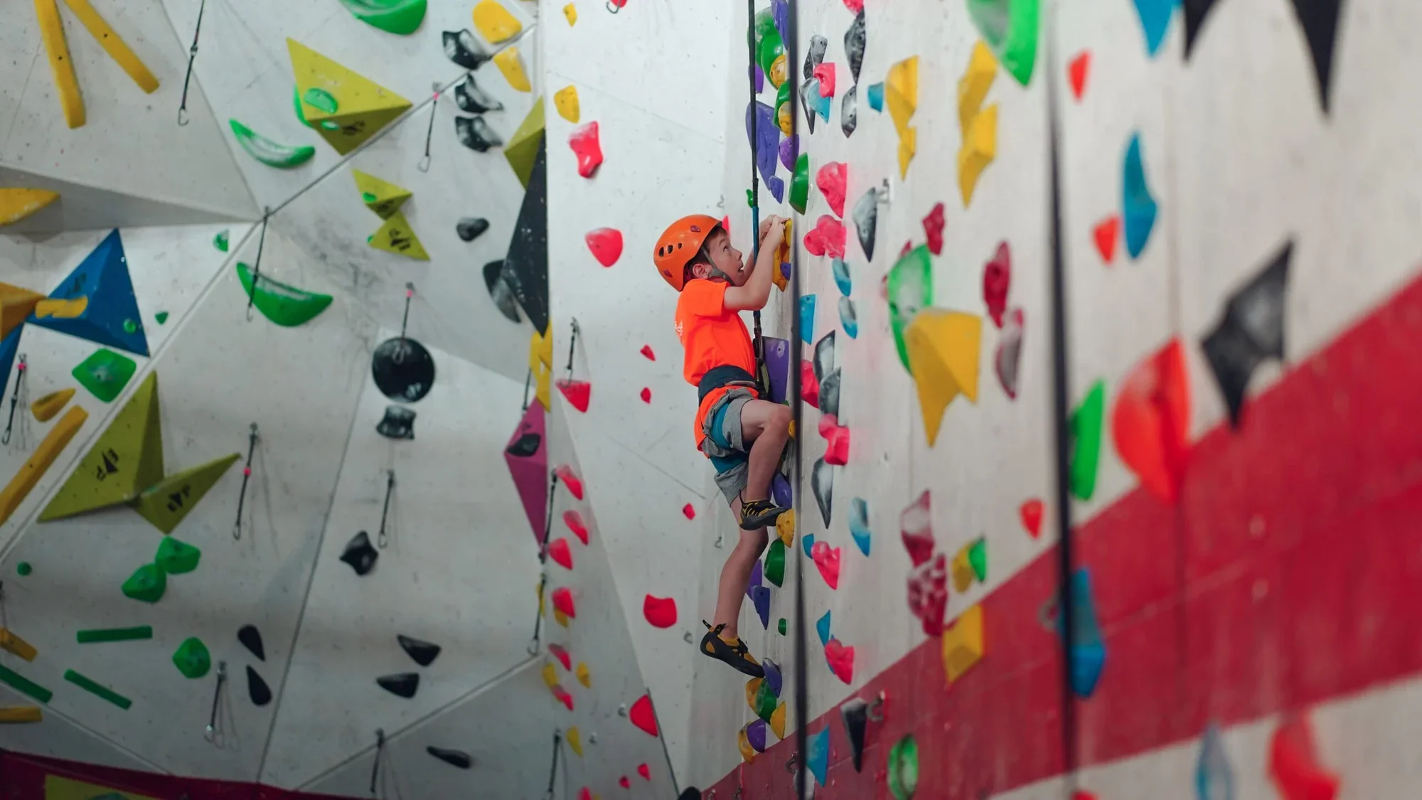 Climbing School photo 3
