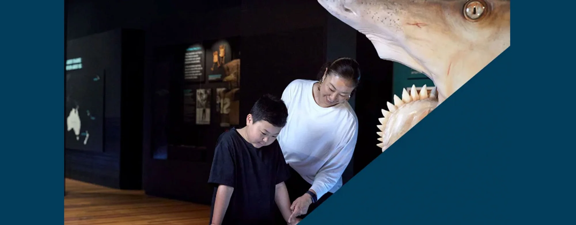 Family Shark Workshop at CosmoCaixa photo 1