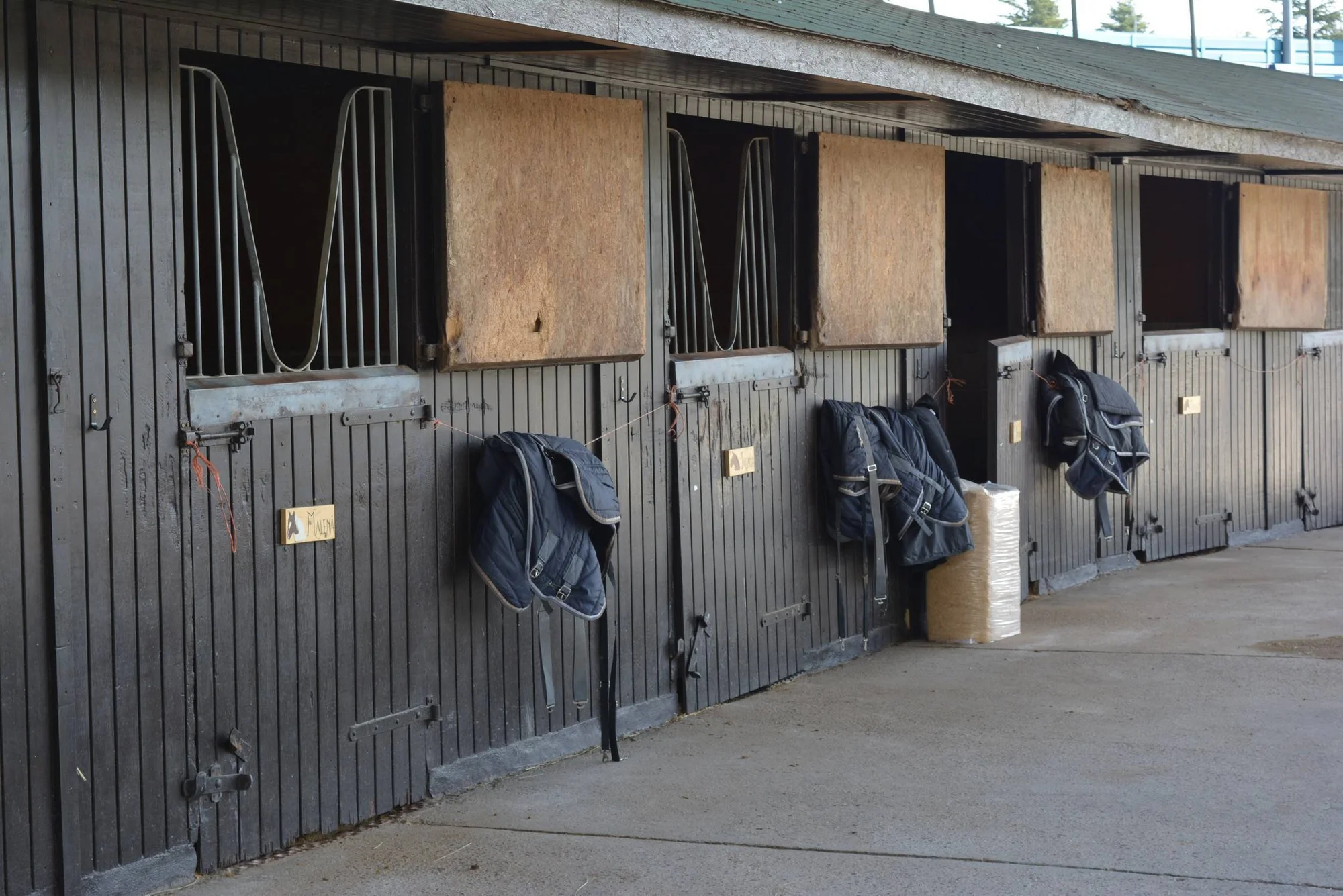 Horse Riding Camp: El Tejar de Somontes photo 5