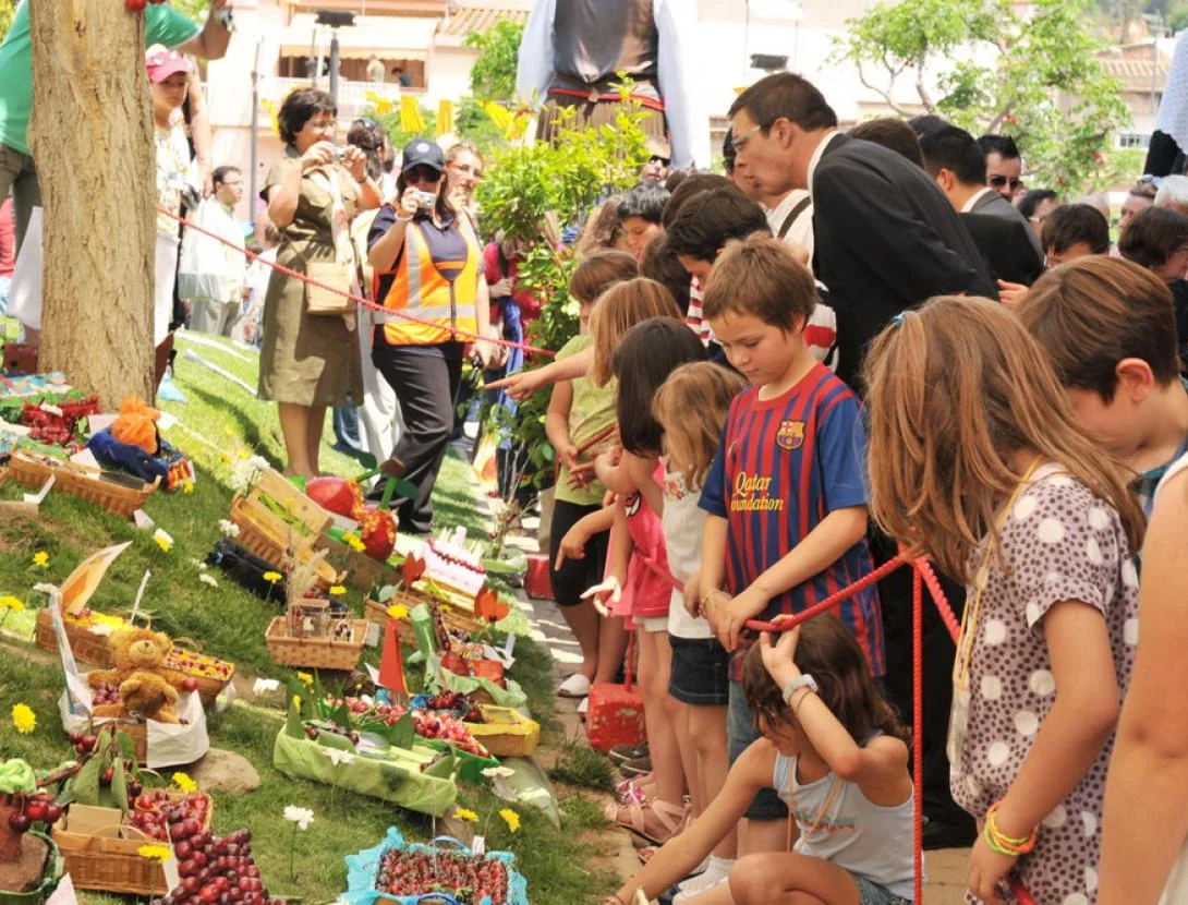 Cherry Harvest Festival in a Village photo 3