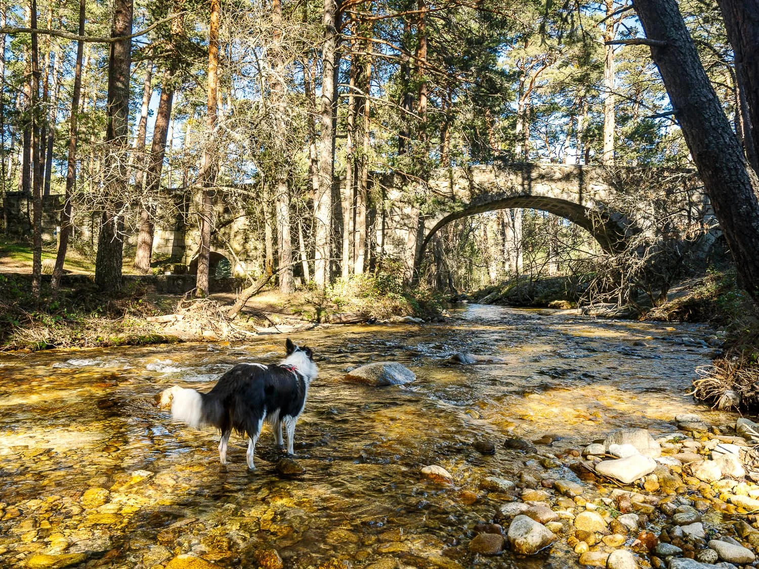 28 Free Fall Hikes in Sierra de Guadarrama photo 4
