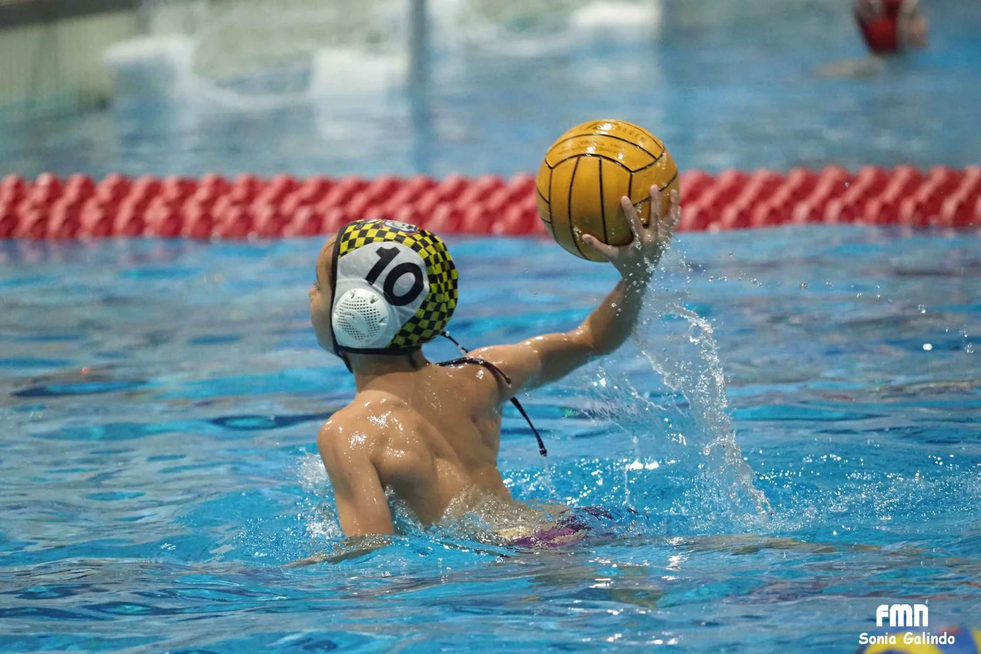 Brains Swim School La Moraleja photo 3