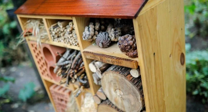 Build Insect Hotels with Natural Materials photo 4