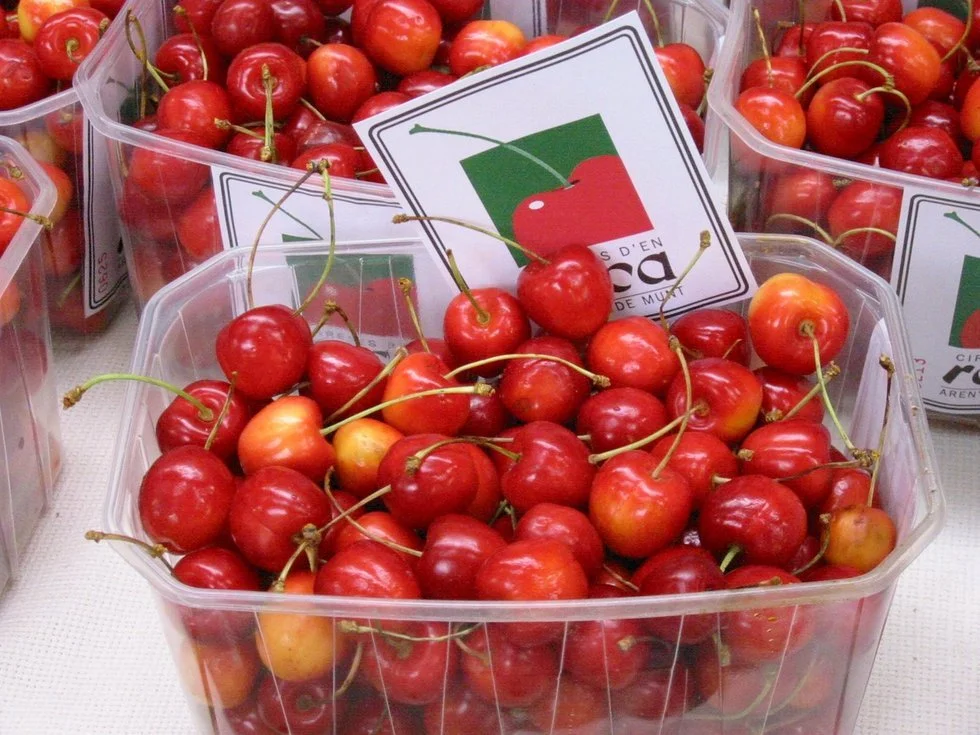 Taste Cherry Dishes at the Harvest Fair photo 1
