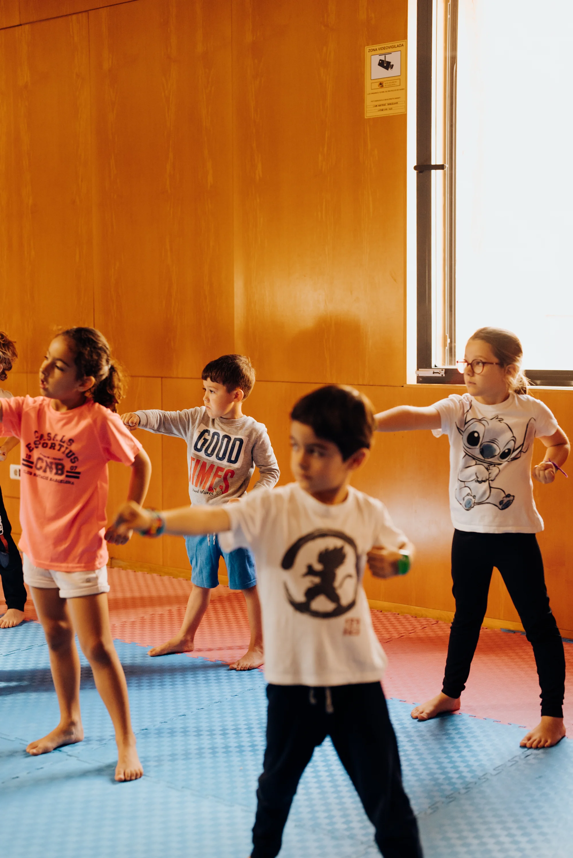 Projecte 5 PALS multi-sport photo 2