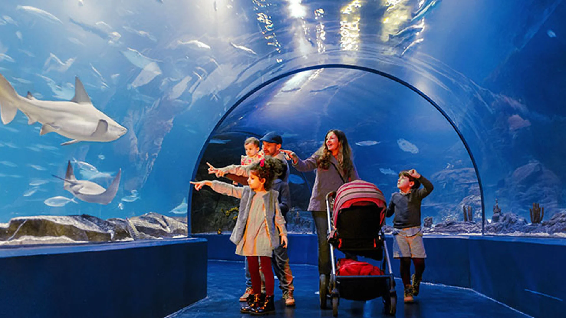 Atlantis Aquarium Madrid photo 2