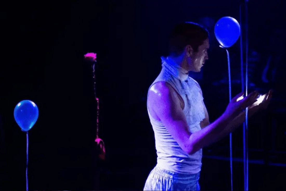 The Little Prince in 55 Minutes of Dance photo 4