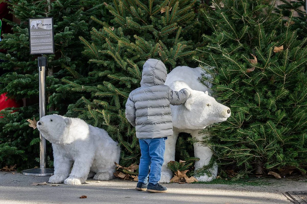 Christmas at Barcelona Zoo photo 4