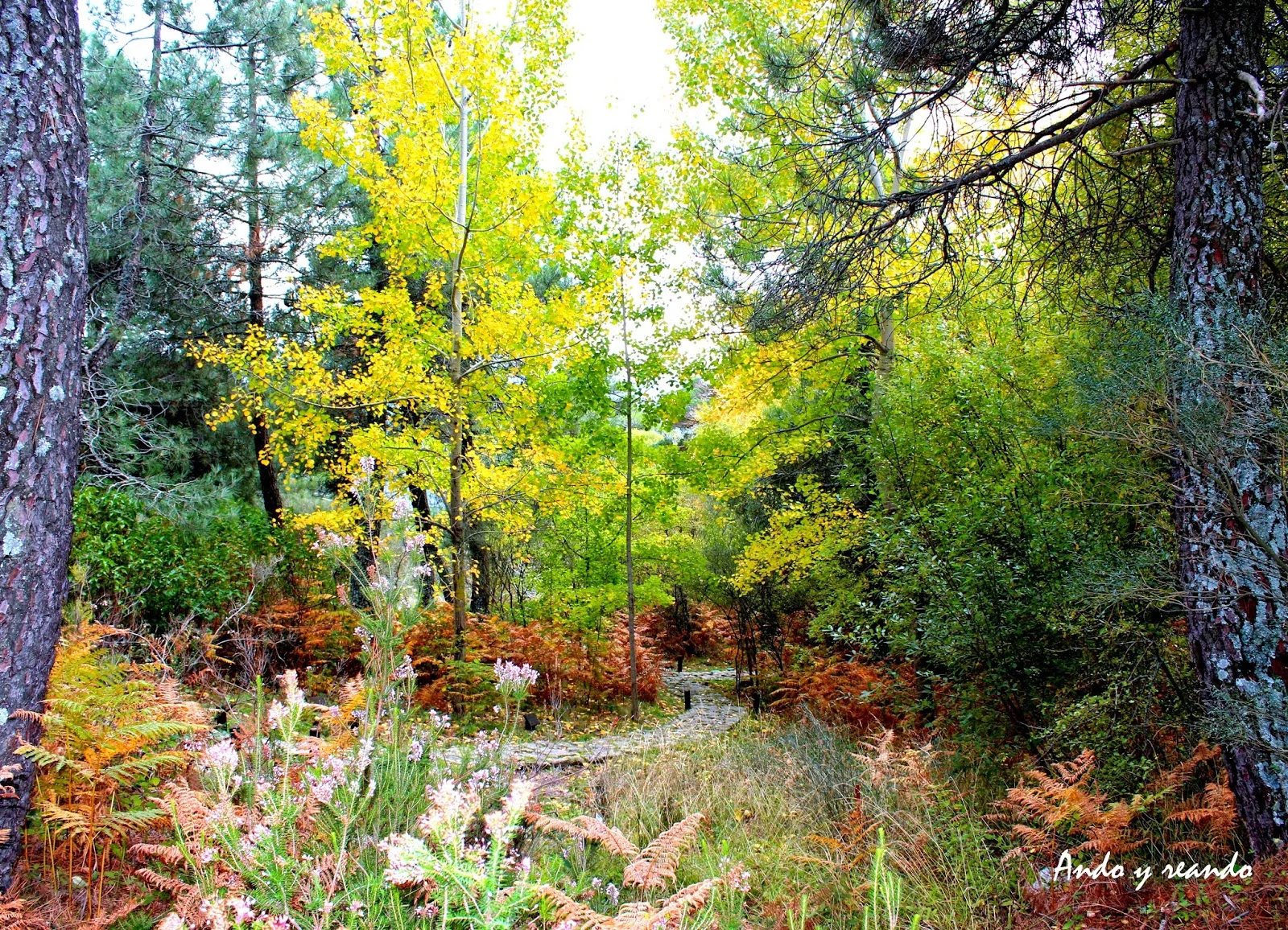 Arboreto Luis Ceballos photo 3