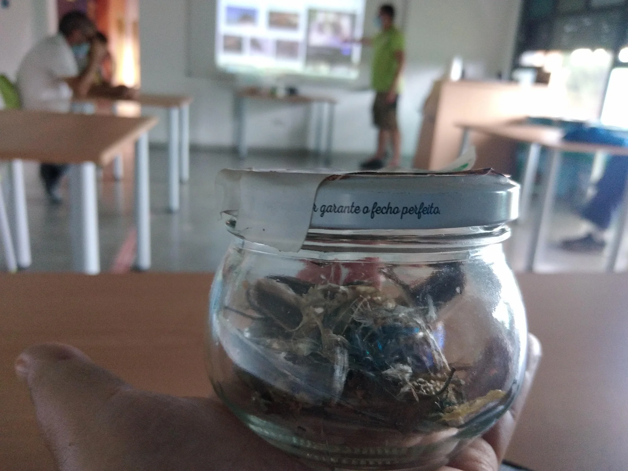 Días sin Cole de Navidad: Aula Medioambiental de Boadilla photo 3