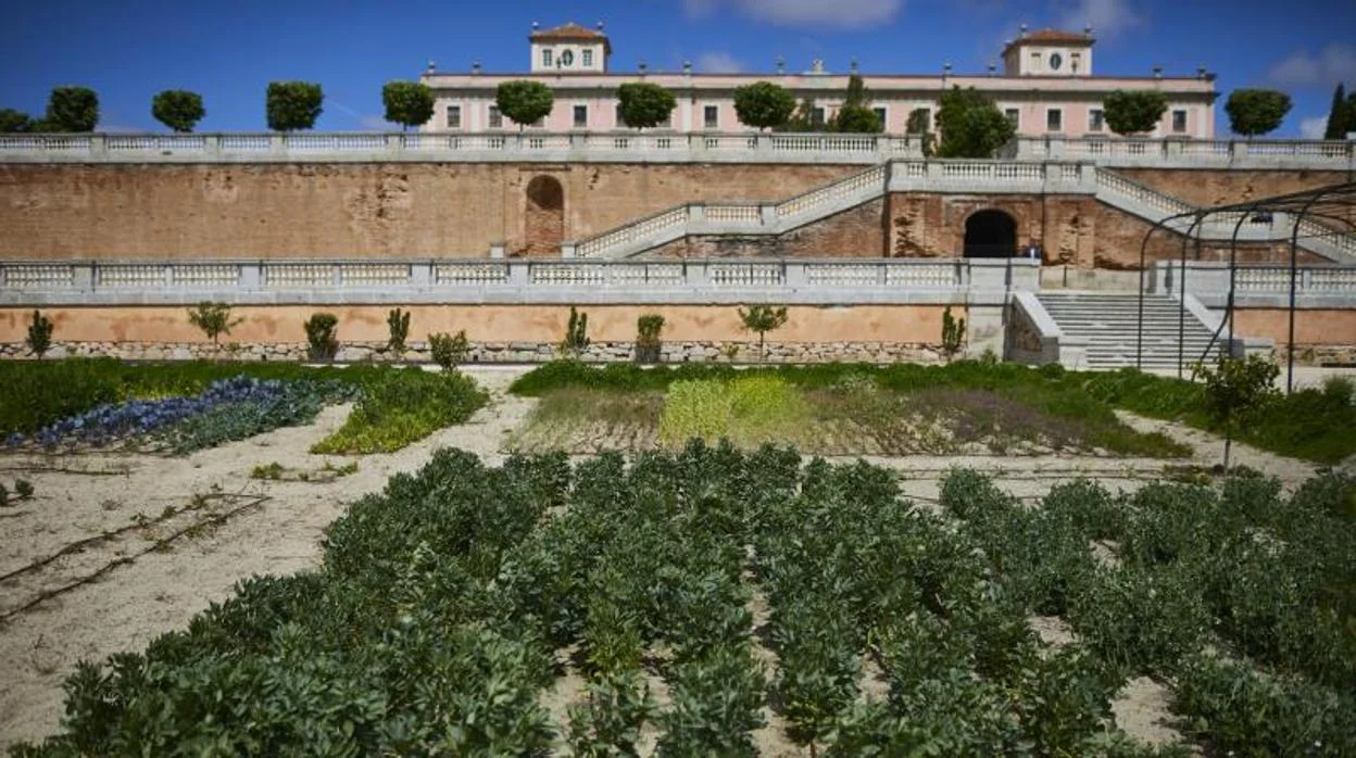 Palacio del Infante Don Luis Gardens photo 3