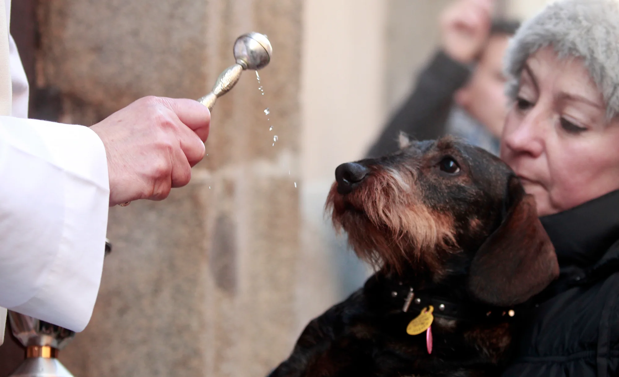 Fiestas de San Antón: Pet Blessing and Parade in Chueca photo 3