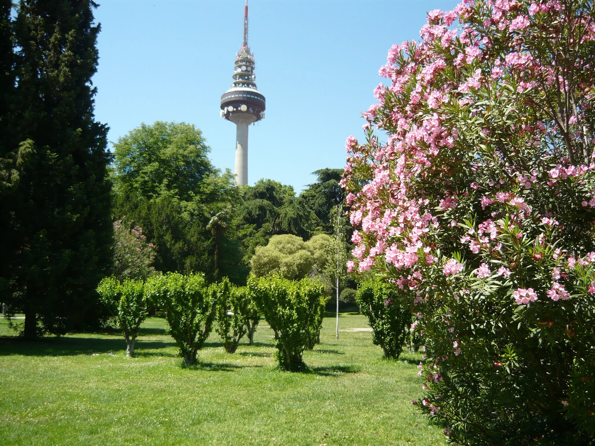 Parque de la Fuente del Berro photo 3