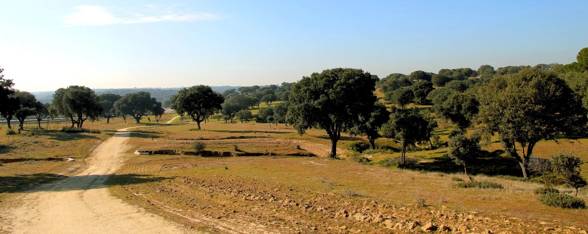 Días sin Cole de Navidad: Aula Medioambiental de Boadilla photo 5