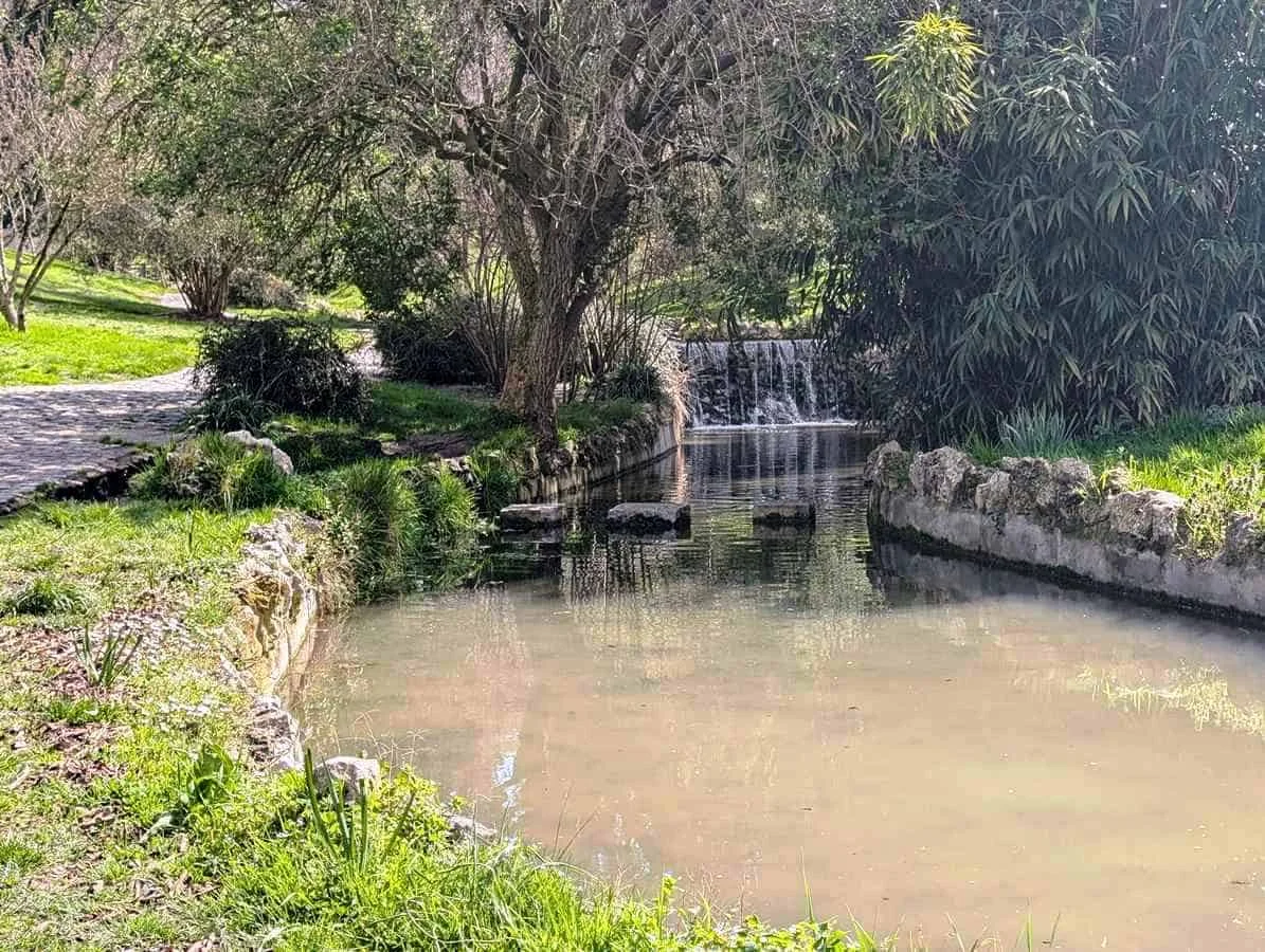 Parque del Oeste photo 3