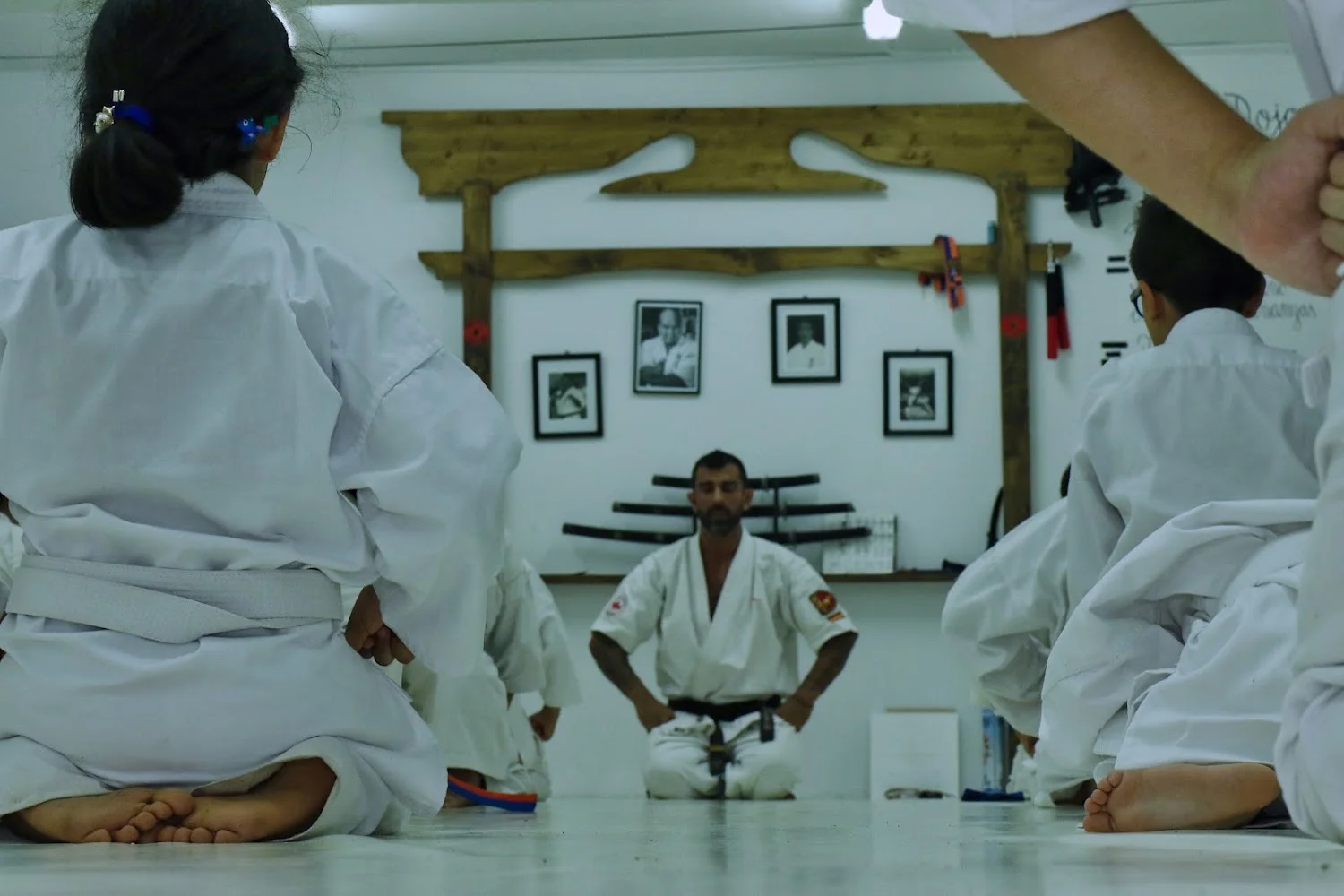 Judo, karate and BJJ kids classes photo 3