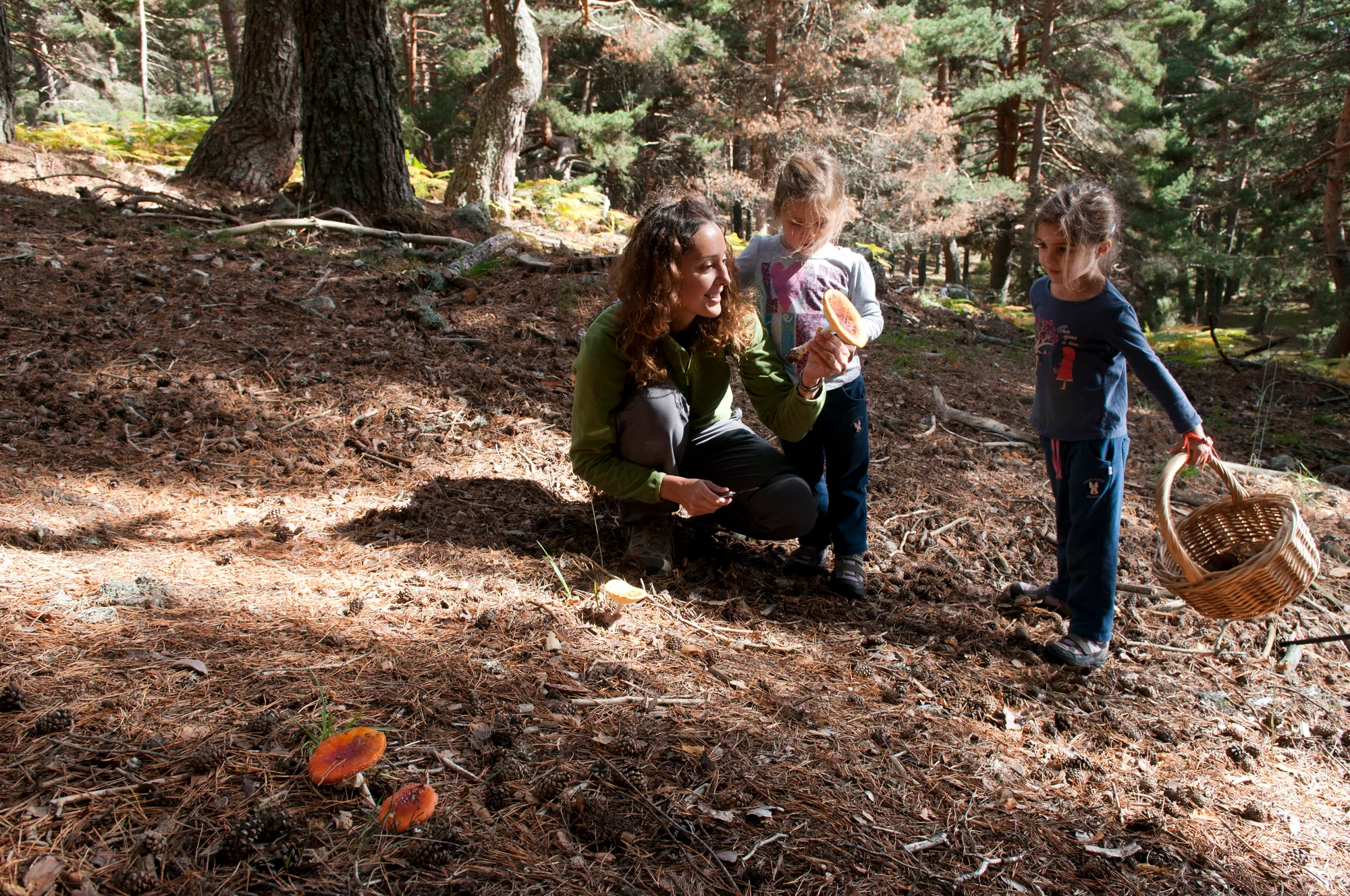 Mushroom Walks with a Mycologist in Rascafría and Bustarviejo photo 1