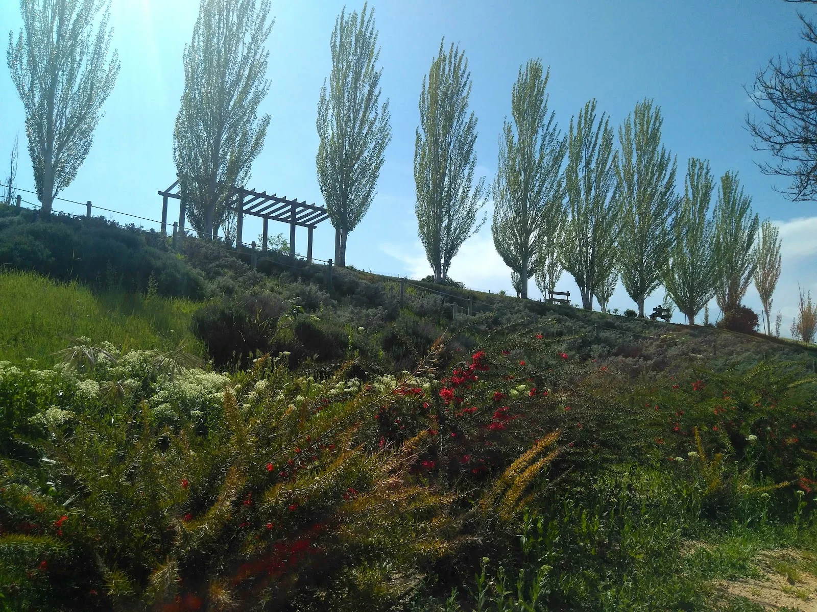 Parque Adolfo Suárez Majadahonda photo 4