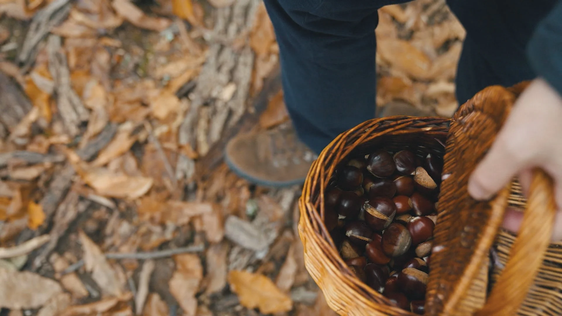 La Calbotada Chestnut Festival in Rozas de Puerto Real photo 1