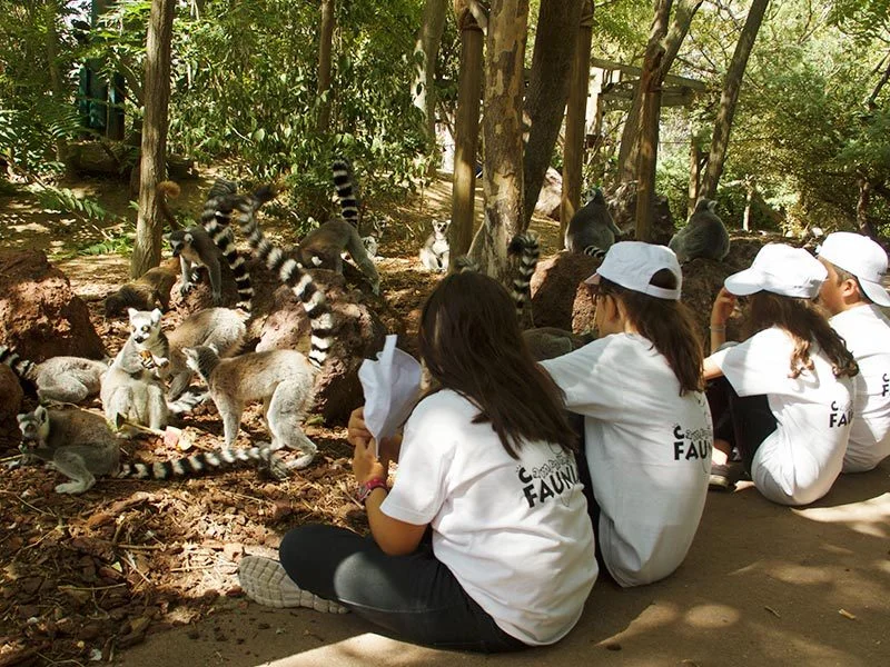 Campamento de Verano Faunia photo 4